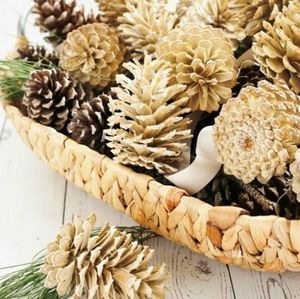Georgia Organic Natural Pinecones